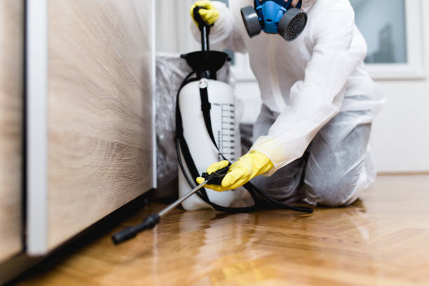 Best Best Pest Control Companies  in Pelican Bay, TX