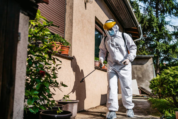 Best Residential Pest Control  in Pelican Bay, TX