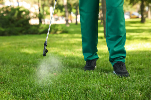 Professional Pest Control in Pelican Bay, TX