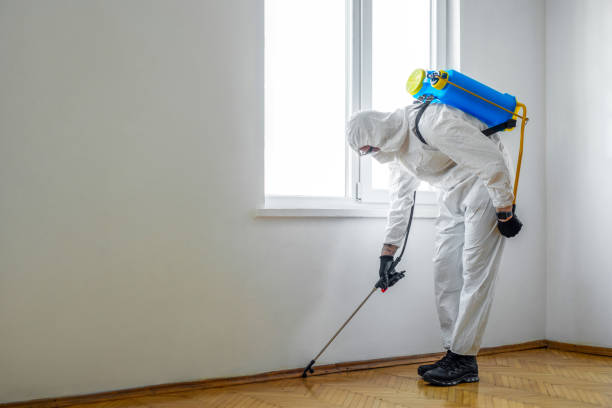 Best Wasp Removal Services  in Pelican Bay, TX