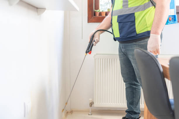 Flea Control Services in Pelican Bay, TX