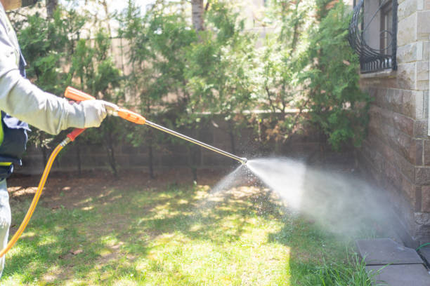 Best Best Pest Control Companies  in Pelican Bay, TX