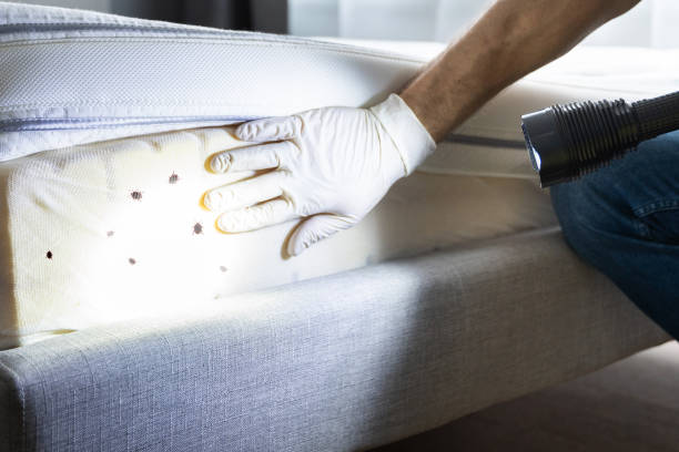 Best Pest Prevention Services  in Pelican Bay, TX